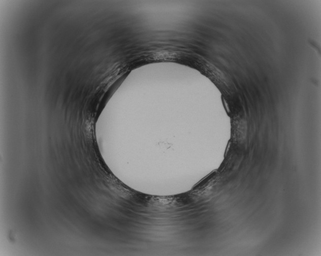 X0000097770329200804041158