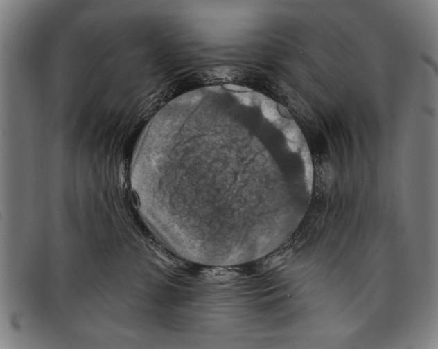 X0000097770331200804041158