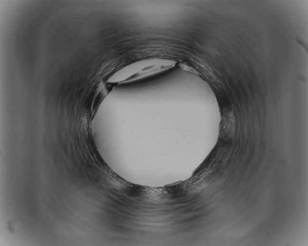 X0000097770333200804041157