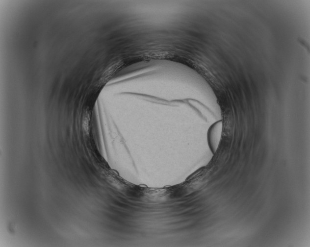 X0000097770334200804041157