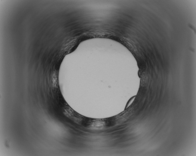 X0000097770335200804041157