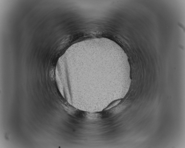 X0000097770336200804041157