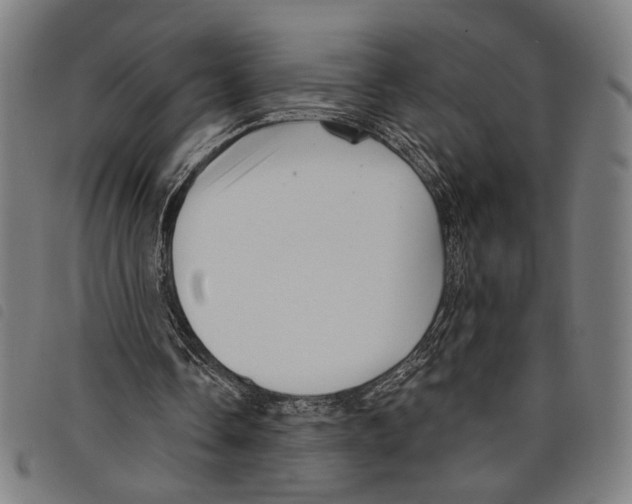 X0000097770338200804041157