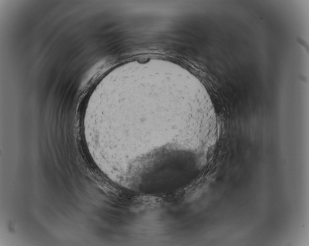 X0000097770339200804041157