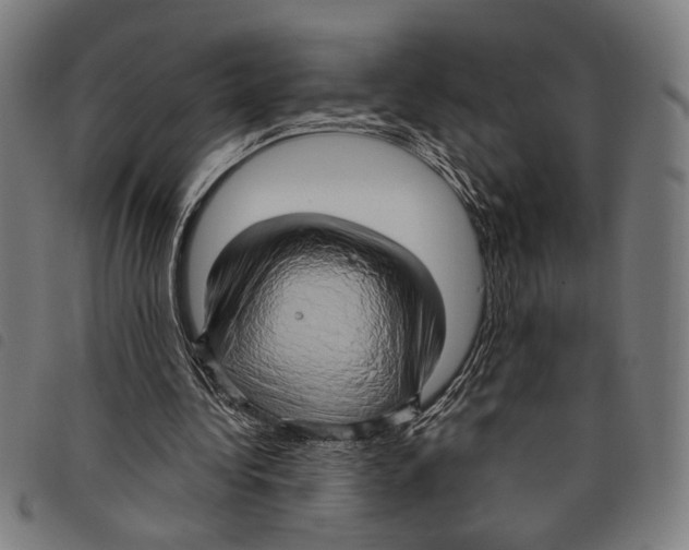 X0000097770340200804041157