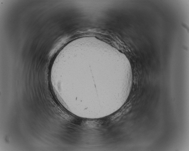 X0000097770341200804041157