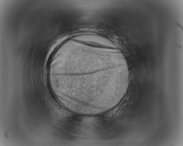 X0000097770342200804041157