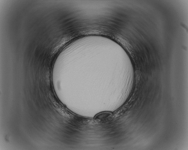 X0000097770345200804041157