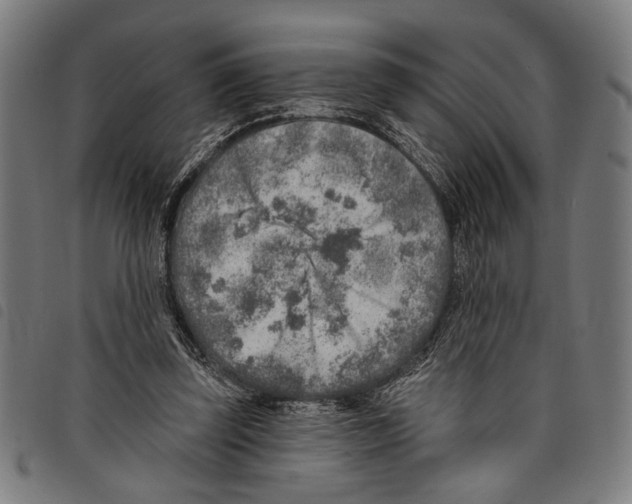X0000097770347200804041157