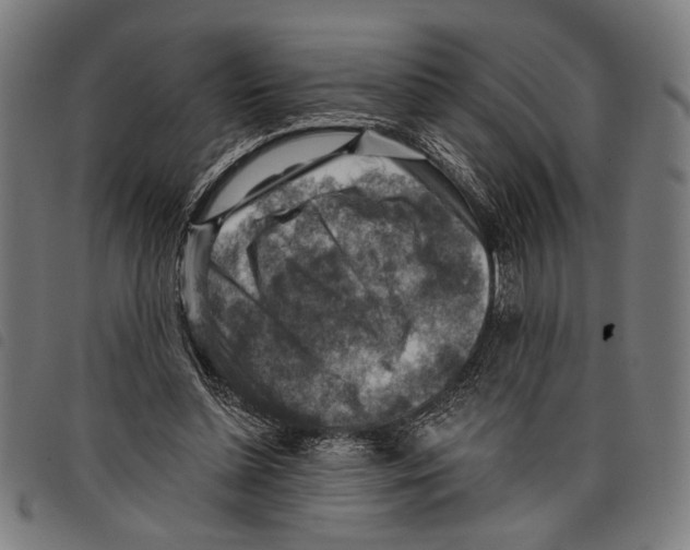 X0000097770348200804041157
