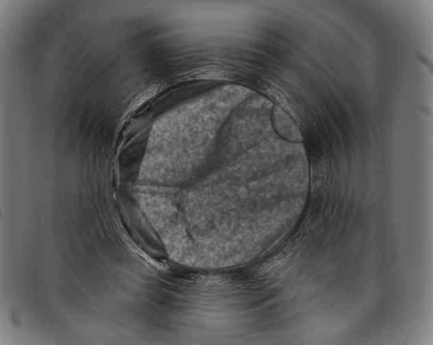 X0000097770349200804041157