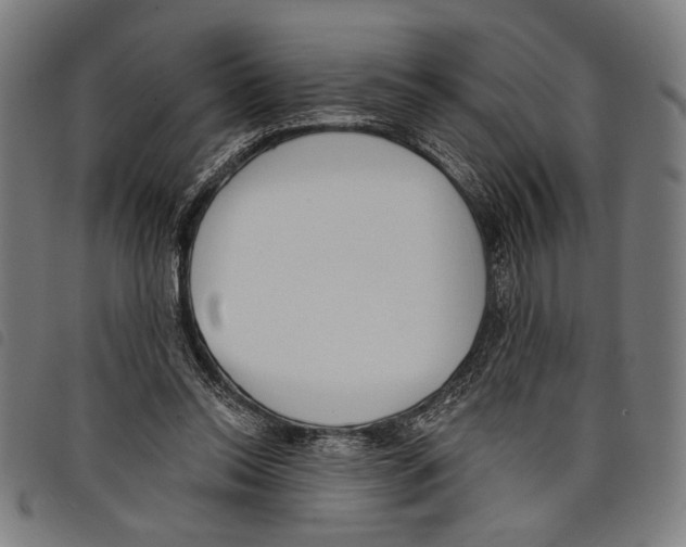 X0000097770350200804041157