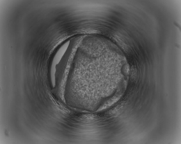 X0000097770351200804041157