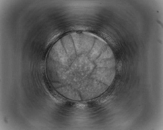 X0000097770352200804041157