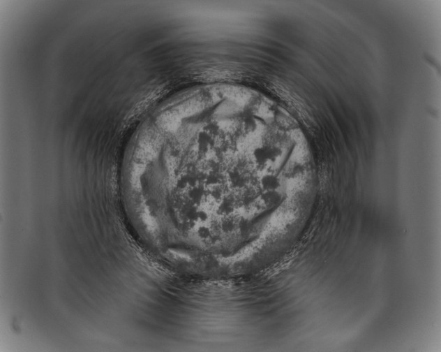 X0000097770353200804041157