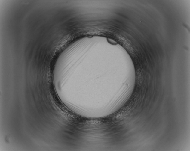 X0000097770354200804041157