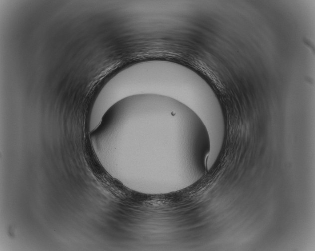 X0000097770356200804041157