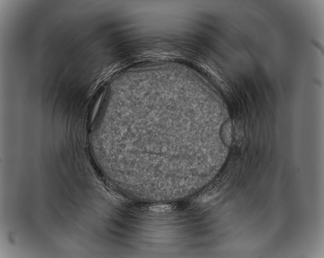 X0000097770357200804041157