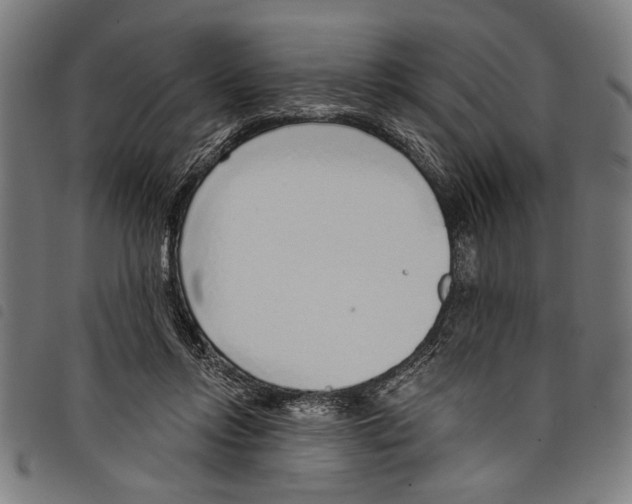 X0000097770358200804041157