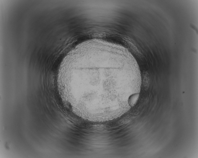 X0000097770363200804041157