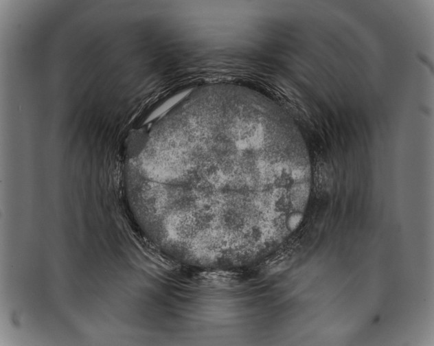 X0000097770367200804041157