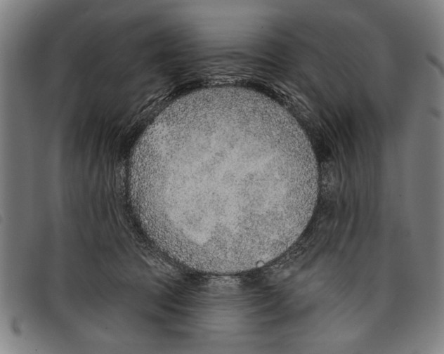 X0000097770369200804041157