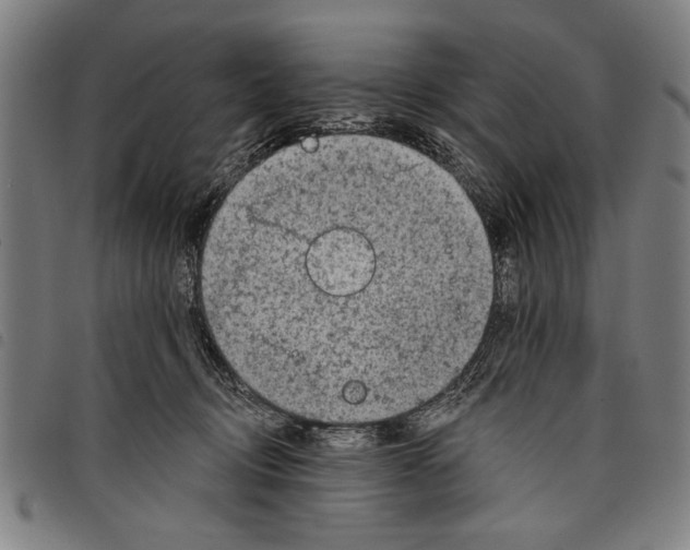 X0000097770370200804041157