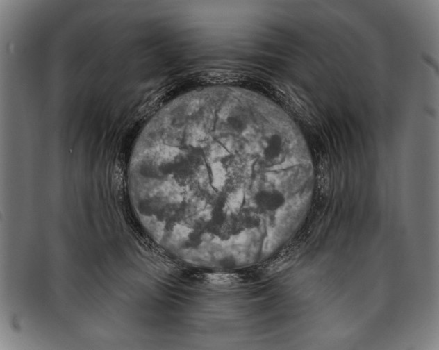 X0000097770371200804041157