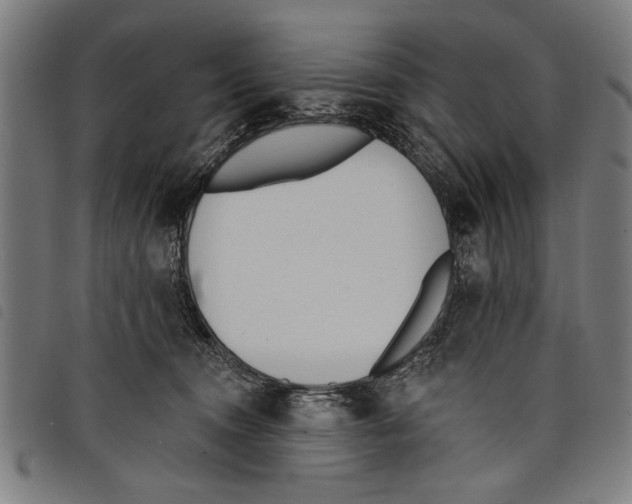 X0000097770372200804041157