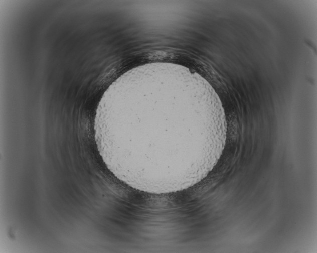 X0000097770375200804041157