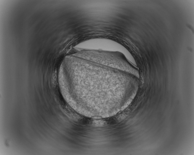X0000097770376200804041157