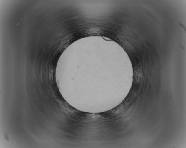 X0000097770379200804041157