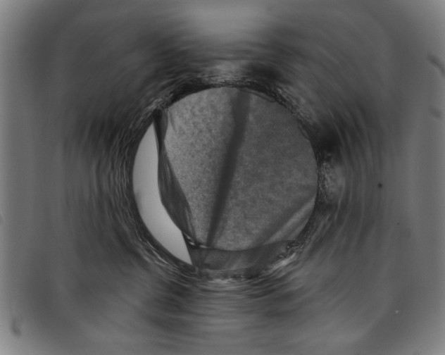 X0000097770380200804041157