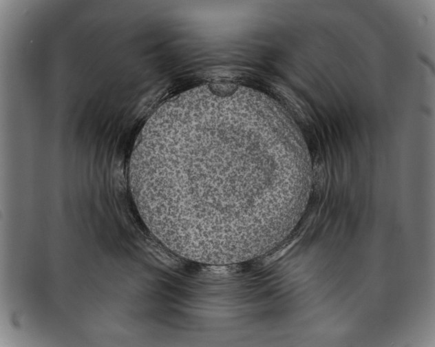X0000097770381200804041157