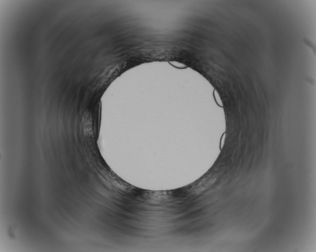 X0000097770384200804041157