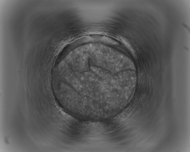 X0000097770385200804041157