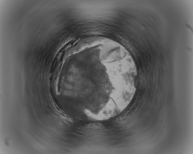 X0000097770386200804041157