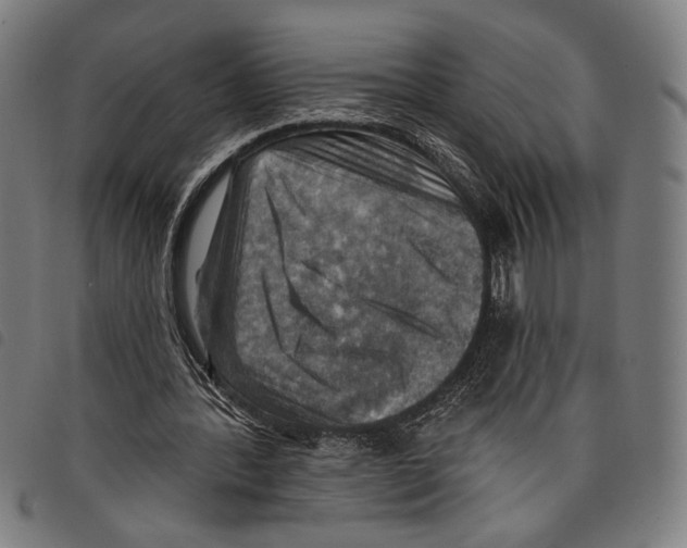 X0000097770388200804041157