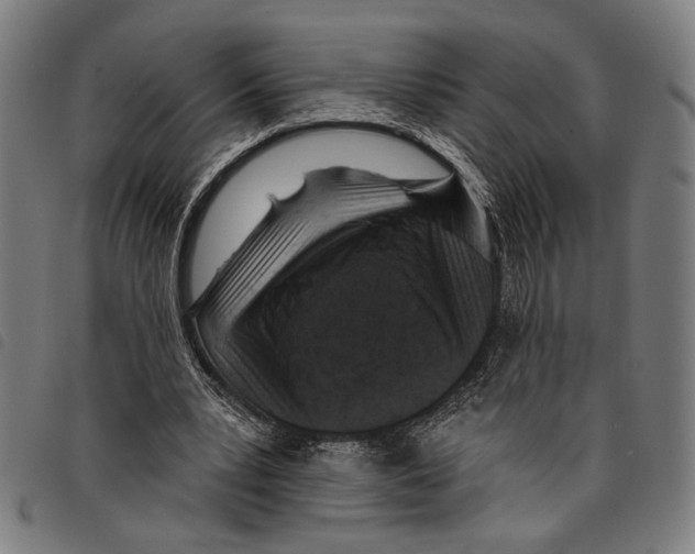 X0000097770391200804041157