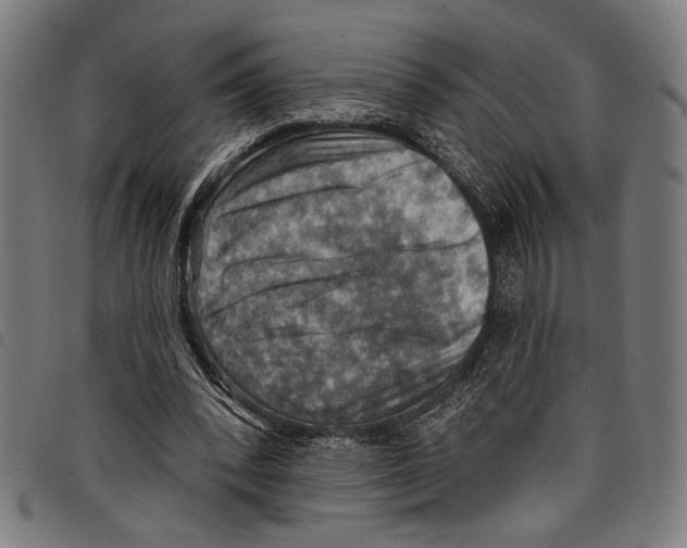 X0000097770392200804041157
