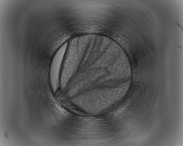 X0000097770393200804041157