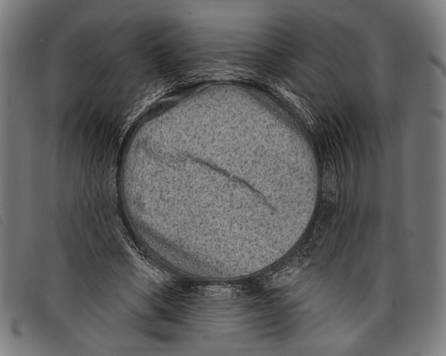 X0000097770394200804041157