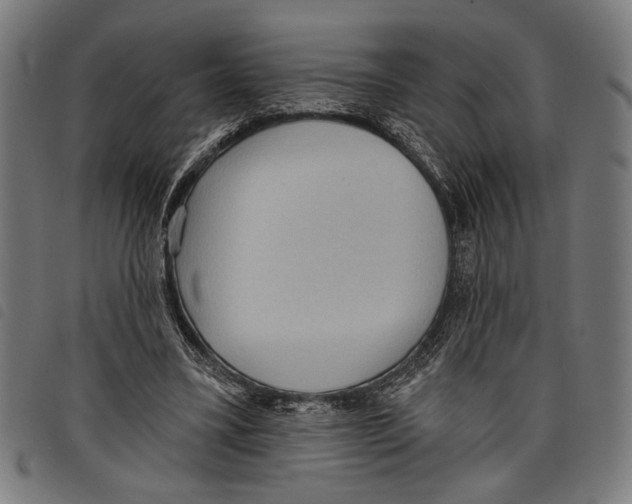 X0000097770395200804041157