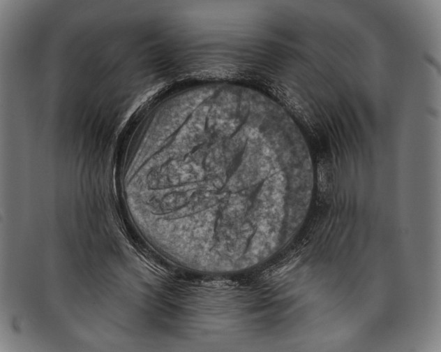 X0000097770396200804041157