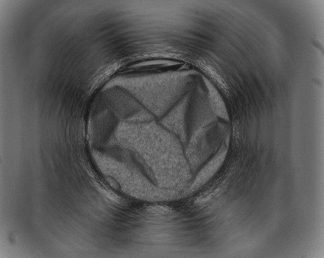 X0000097770397200804041157