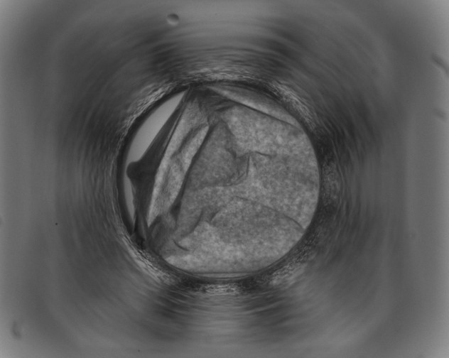 X0000097770398200804041157