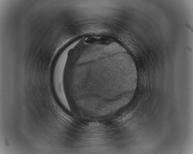 X0000097770399200804041157
