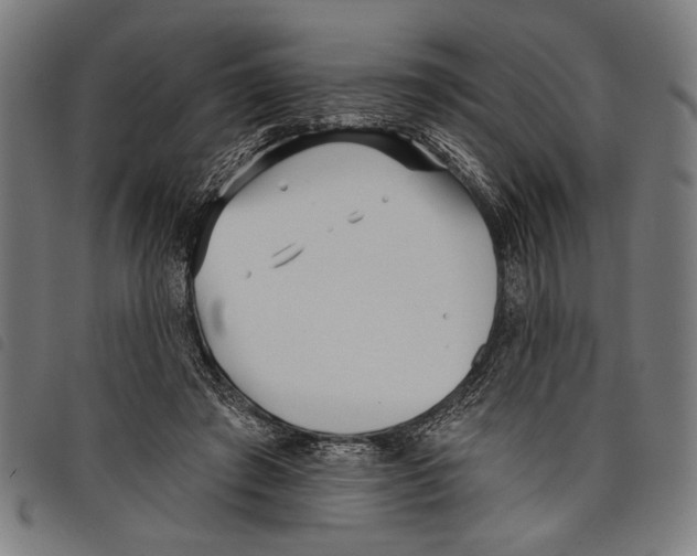 X0000097770401200804041157