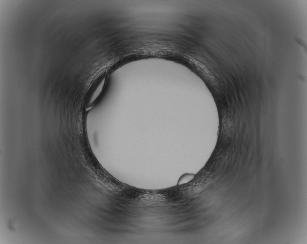 X0000097770403200804041157
