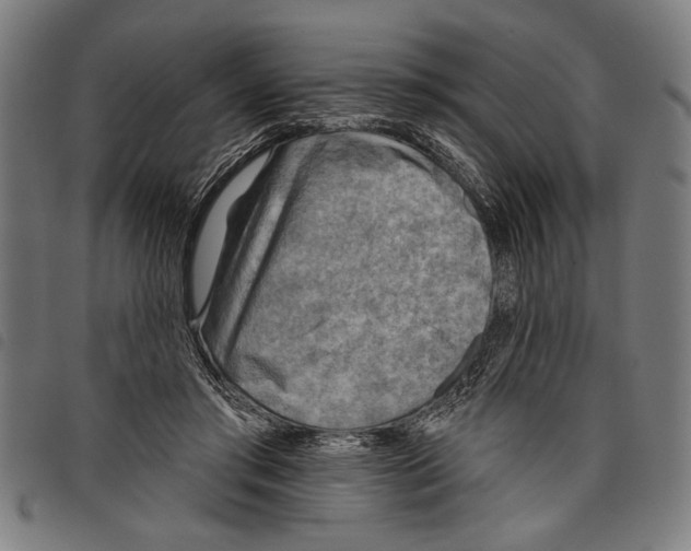 X0000097770405200804041156